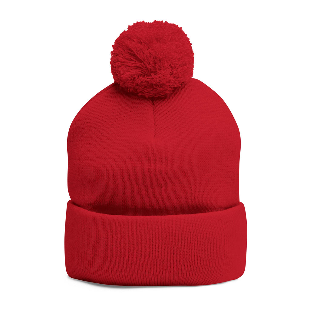 Cat Face Embroidery Beanie | Pom-Pom Knit Cap, Grey Fold-Over Cuff